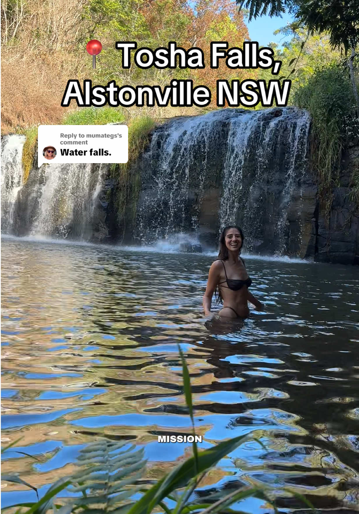 @alexiarenaee