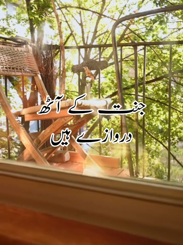 @Noor e sehar