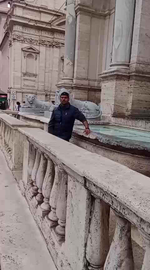 @banidhillon0