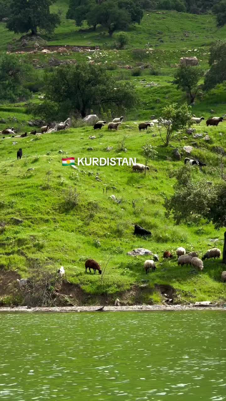 @KURDISTANSHOP