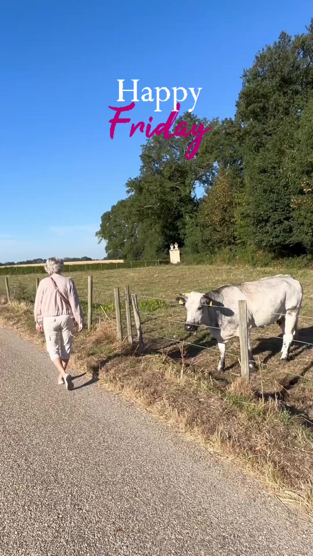 @Peter Franken 🦄