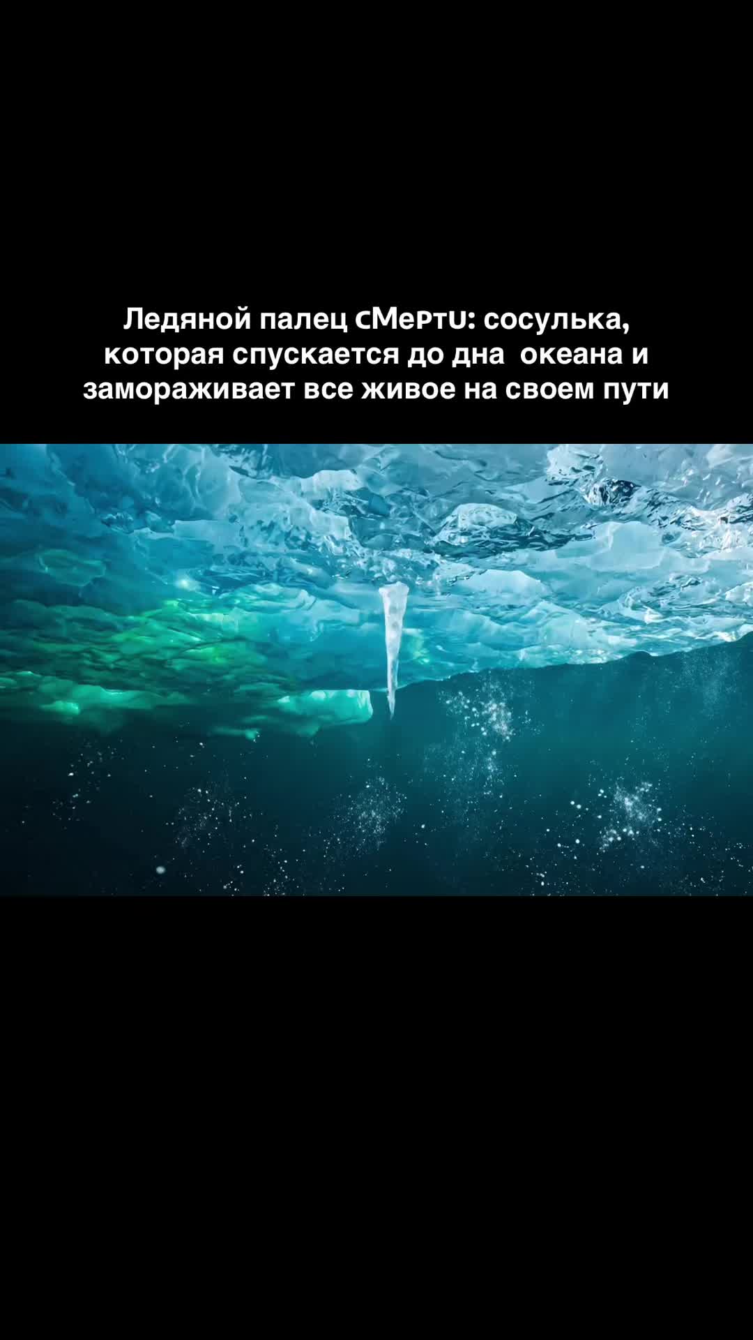 @lanamarket