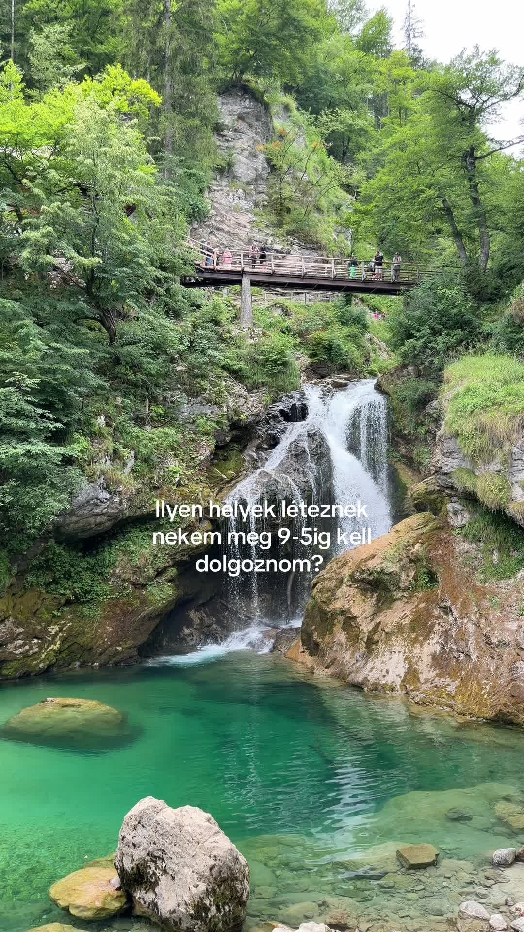@zsóka
