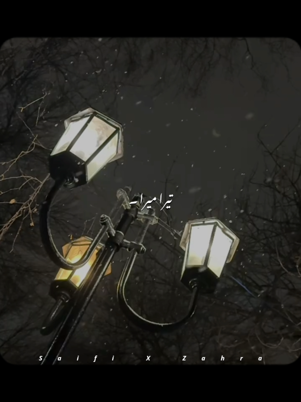 @𝙎𝙖𝙞𝙛𝙞 𝙭 𝘼𝙚𝙨𝙩𝙞𝙘🎧