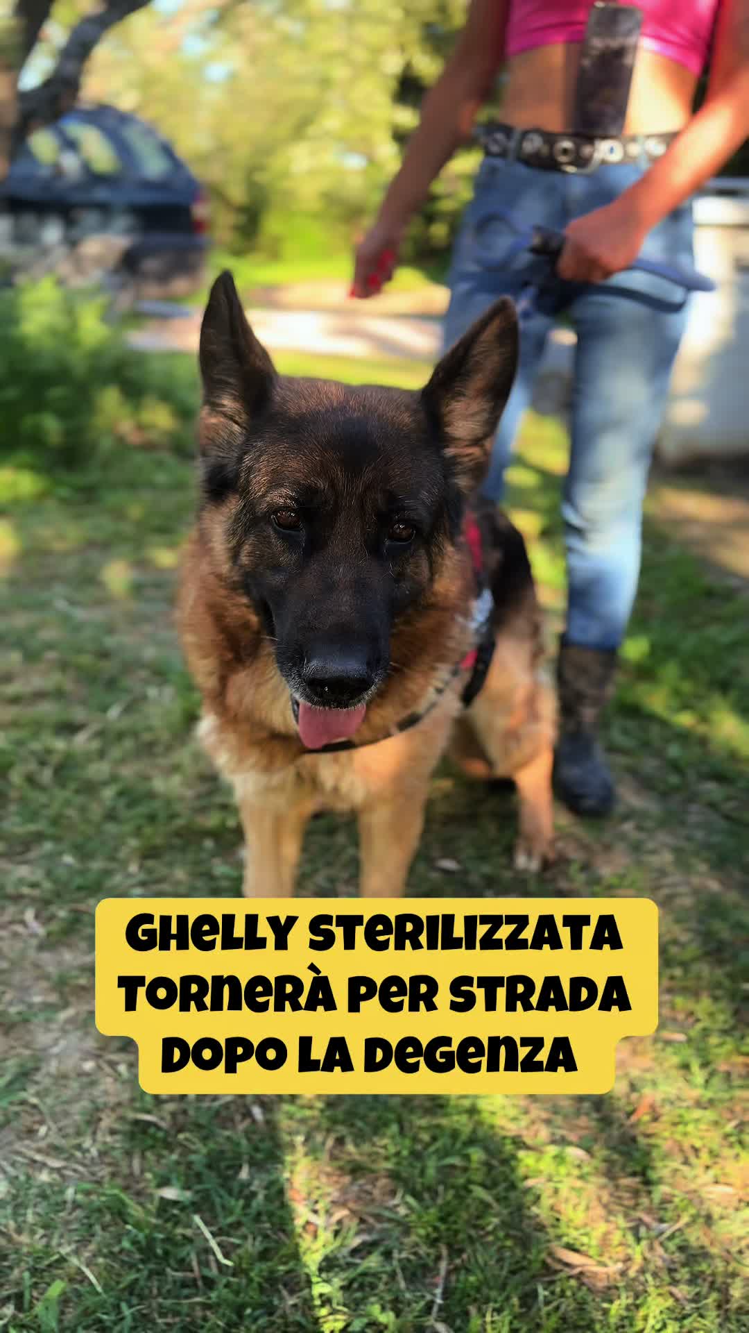 @Solo per amor loro 🐾🐾🐾🐾