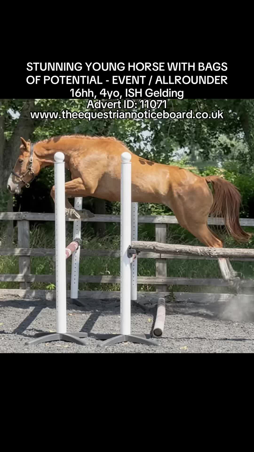 @theequestriannoticeboard