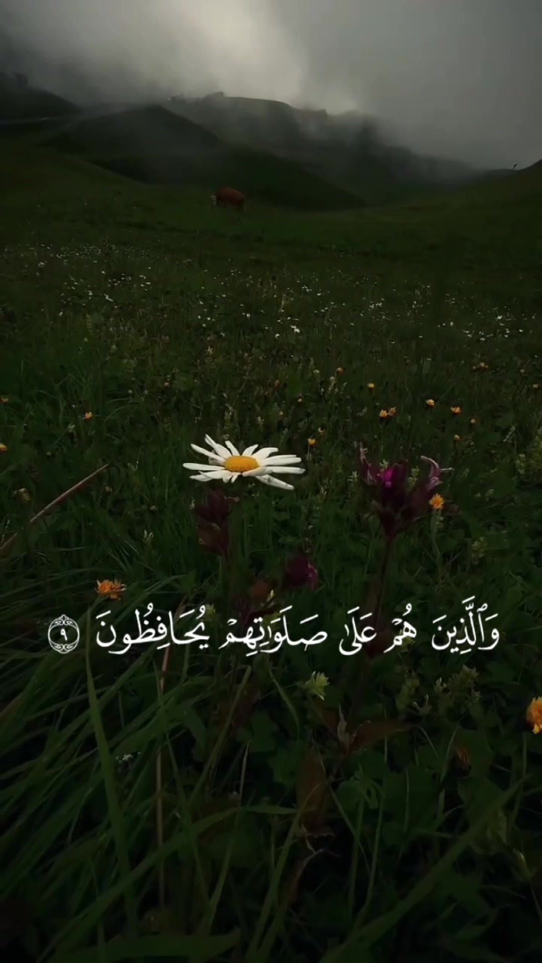 @قــرآن 1447هـ📚