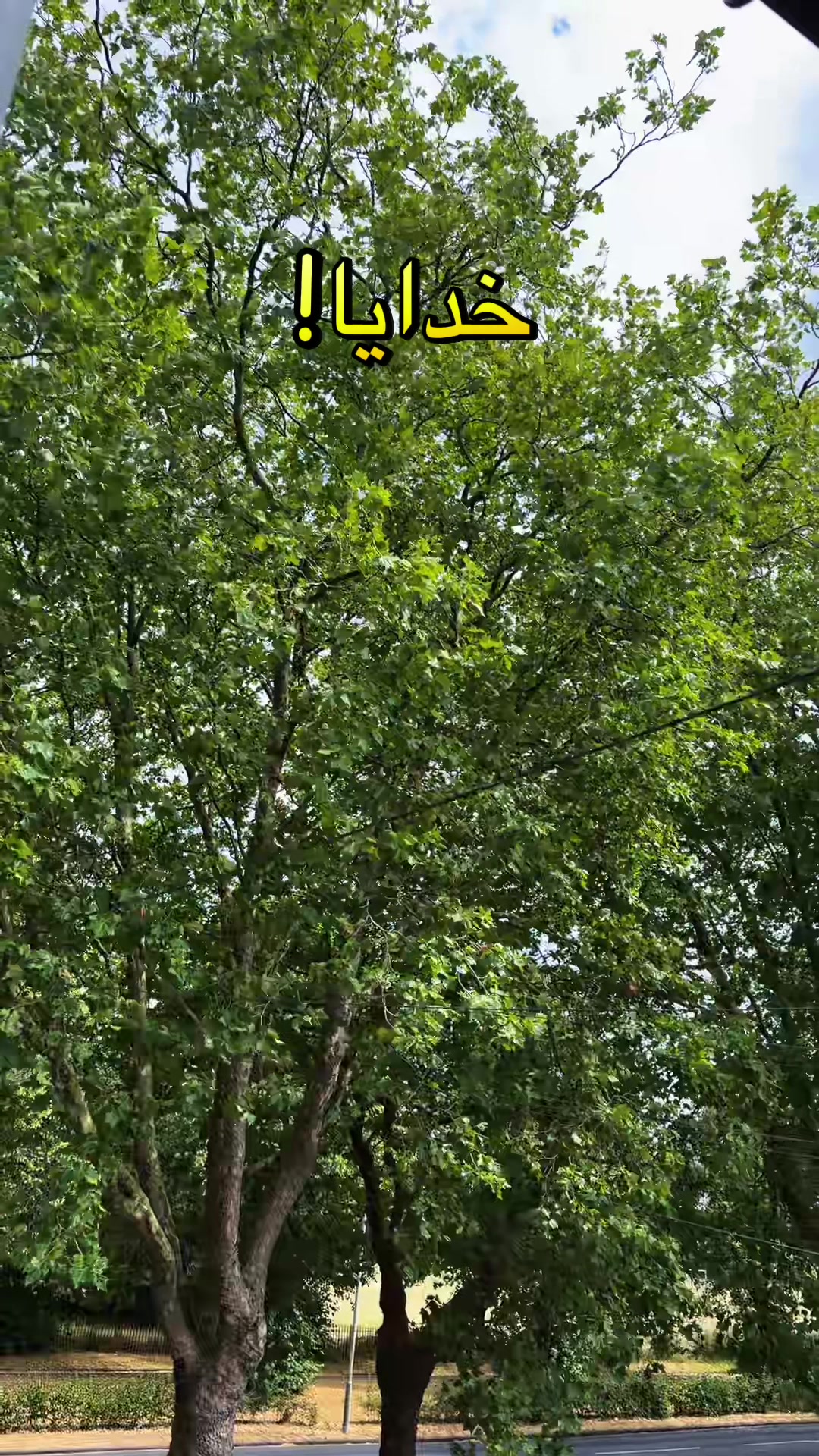 @M.R