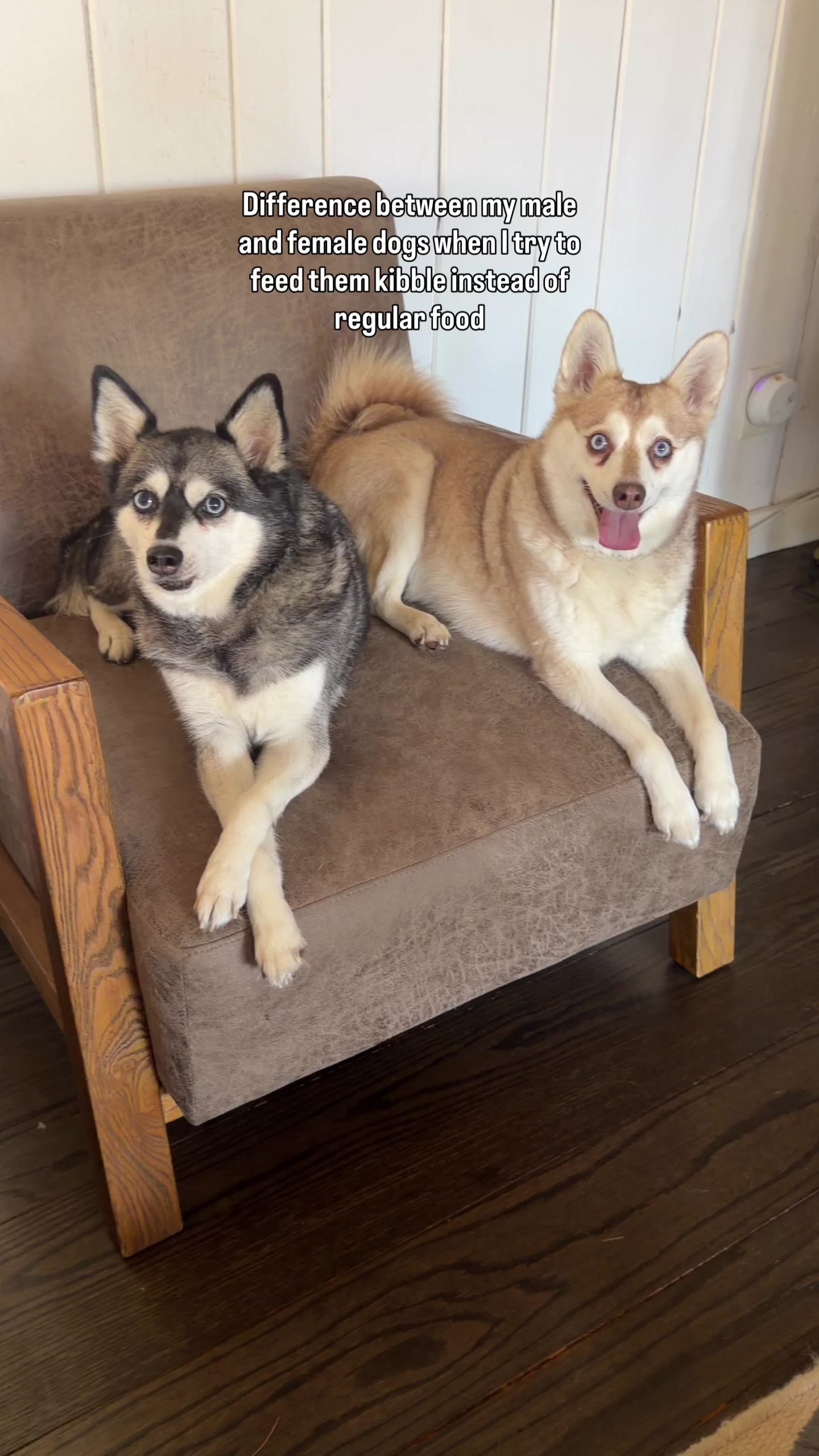 @lifewithkleekai