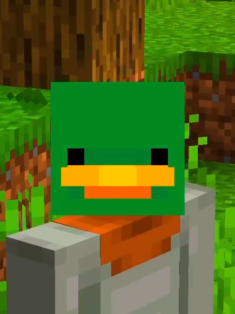 @Flay_w