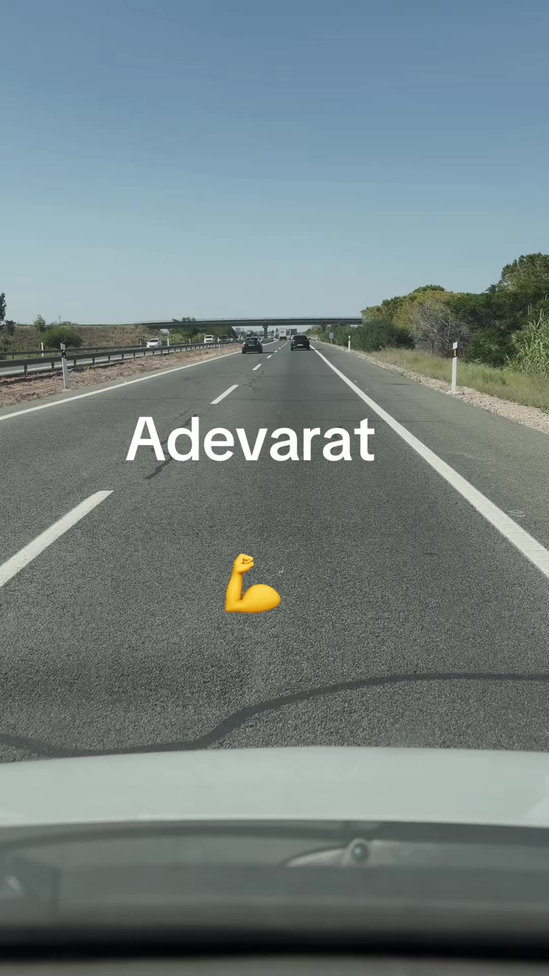 @Geo 👋
