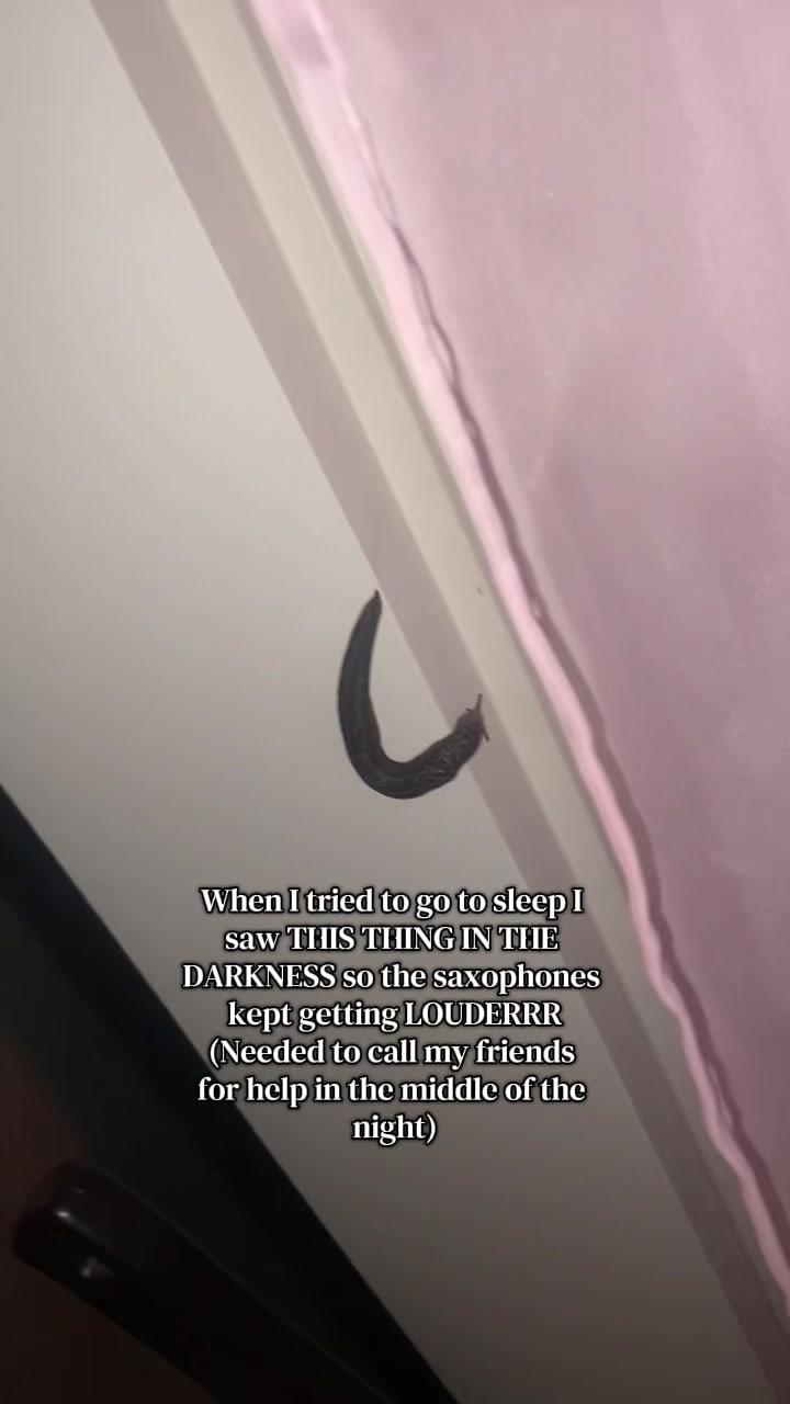 @โค๐ค๐ฐ๐๐๐ฉทโค