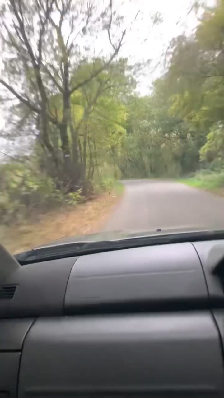 @marshkyle44👻