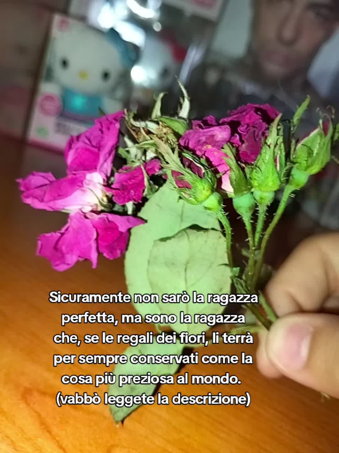 @Sofia Montes
