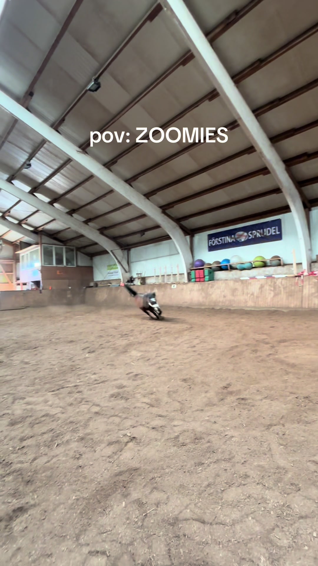 @Kinderreitenfulda