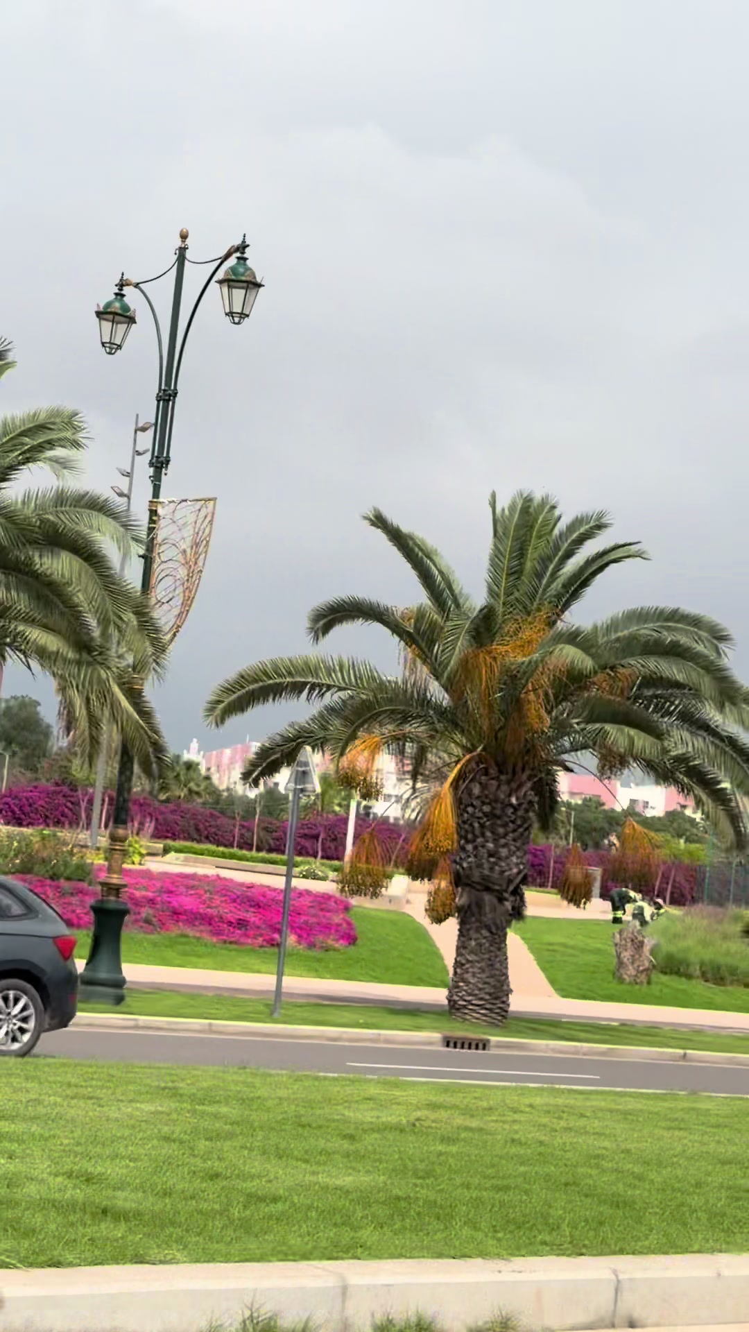 @Gk_scenery