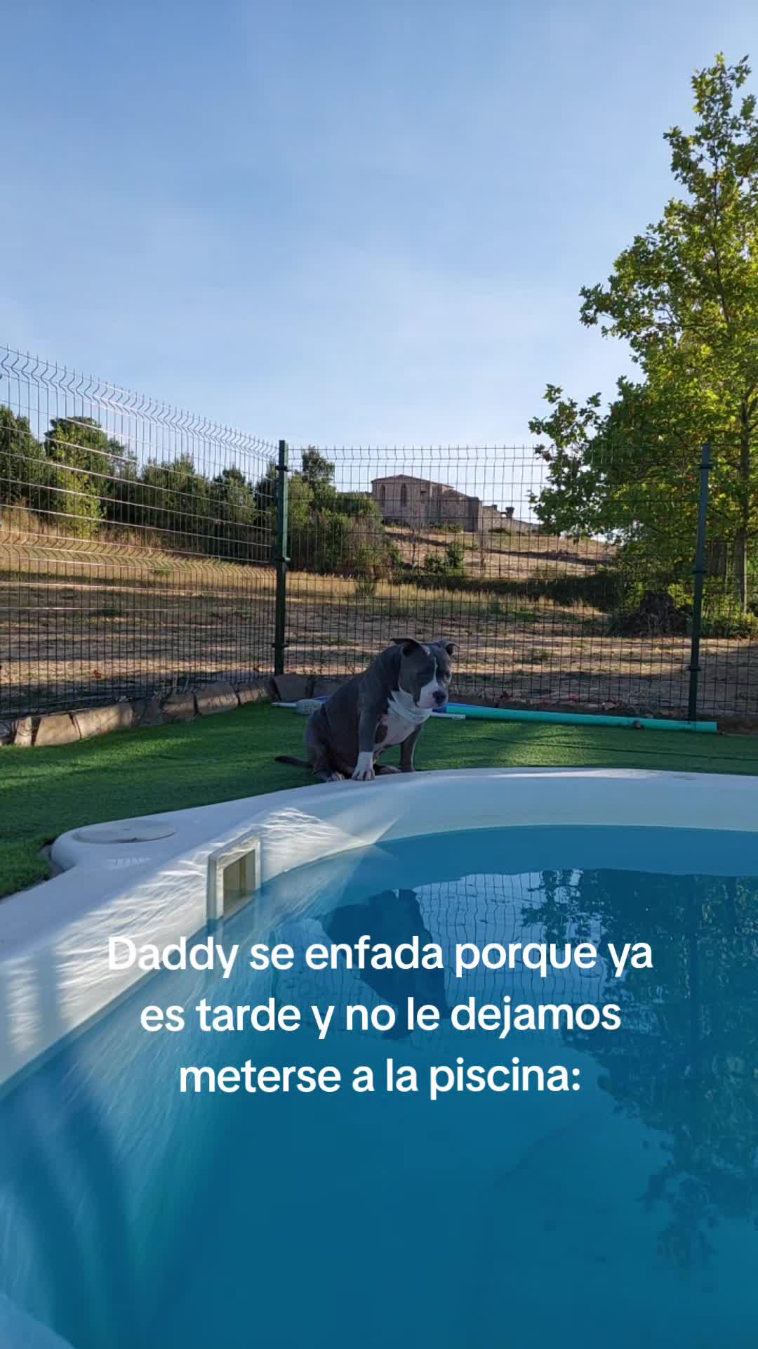 @Kenya y Daddy🐶
