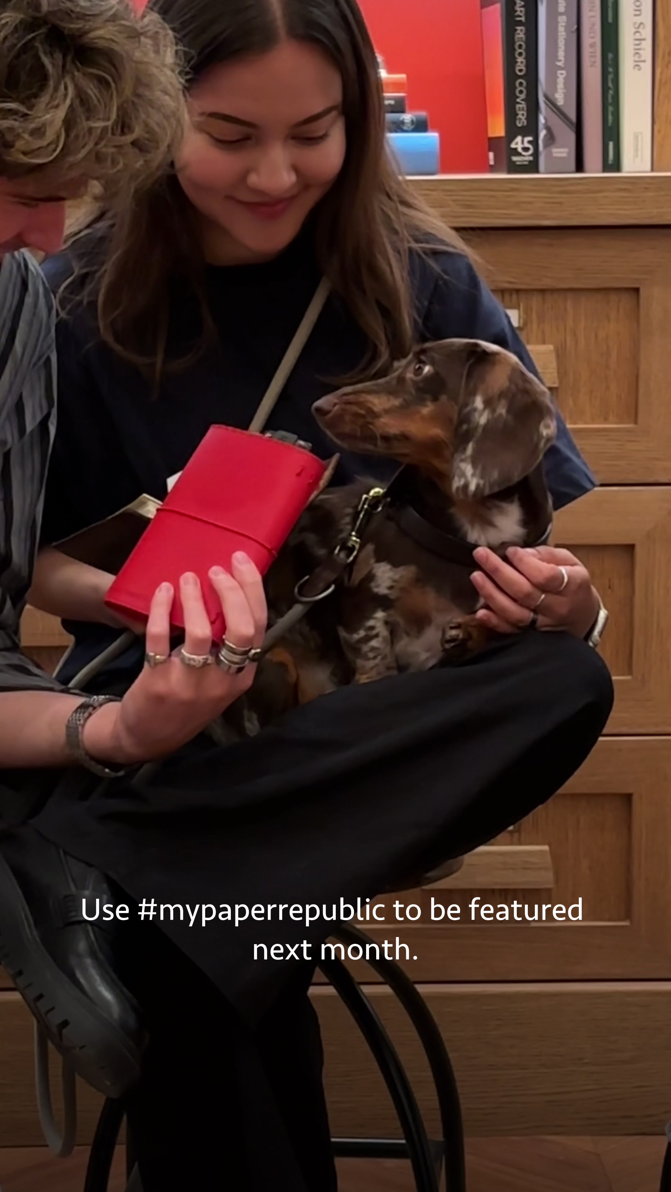 @paper republic