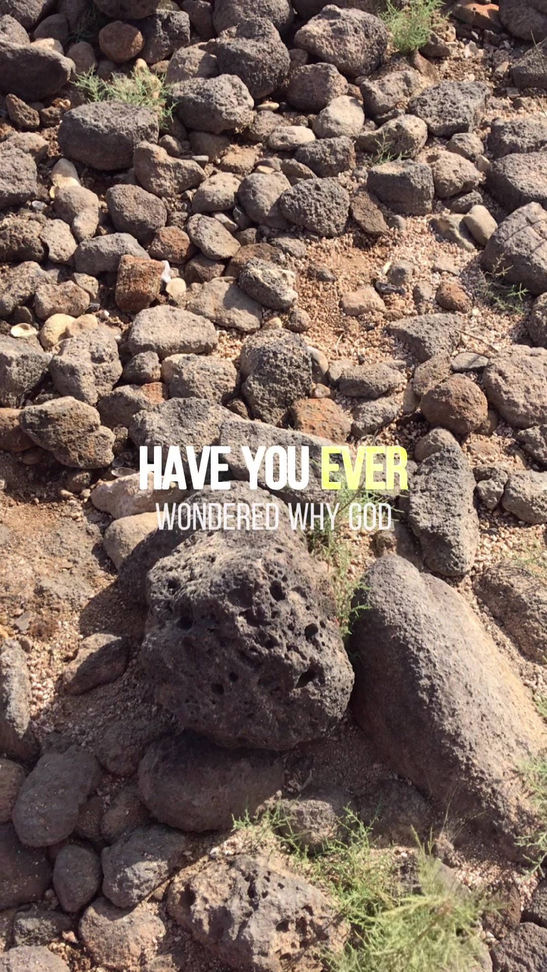 @Delia