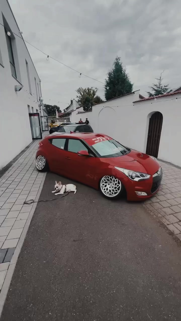 @seb_vglgsng