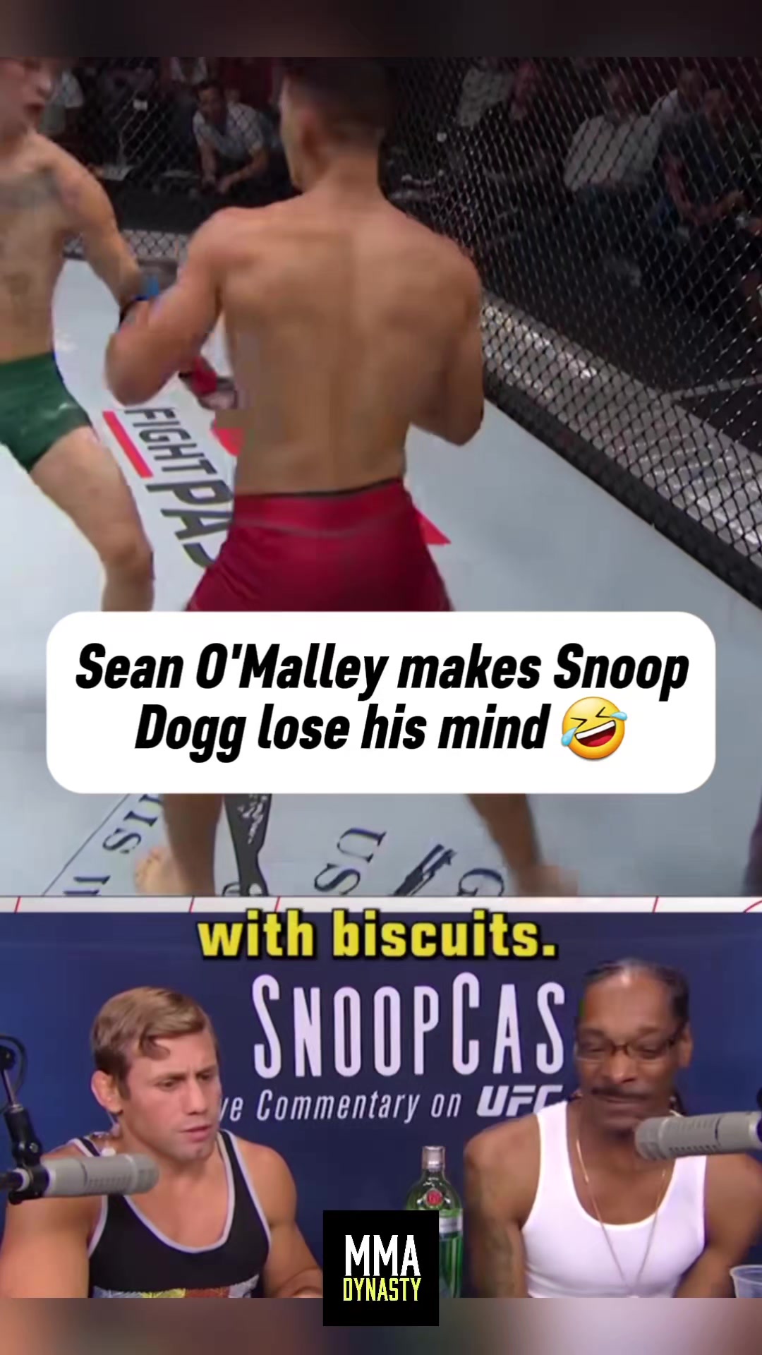 @mma_dynasty
