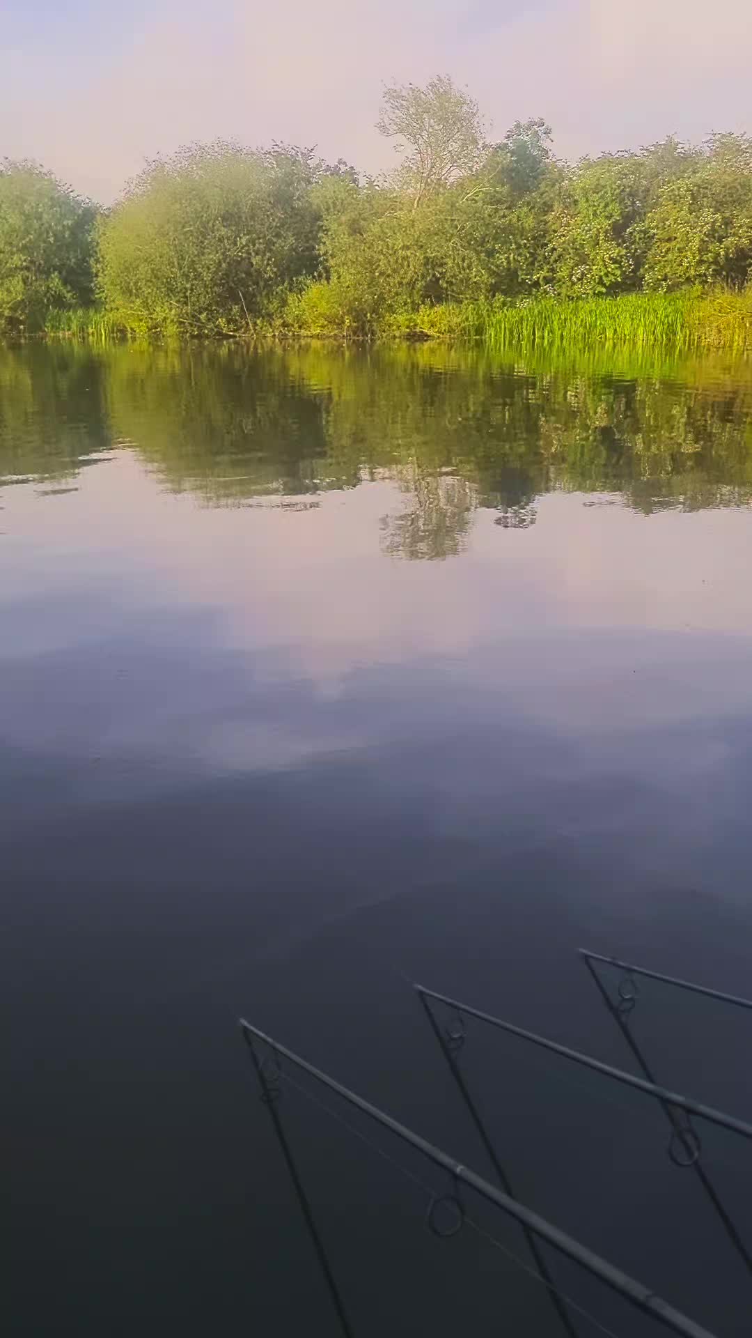 @BIO BAITS