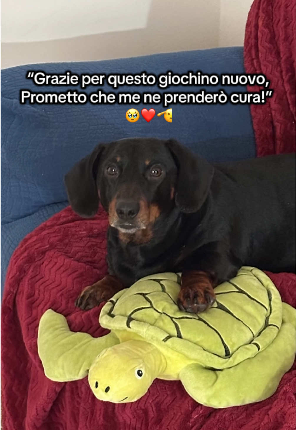 @BLOODISSIA