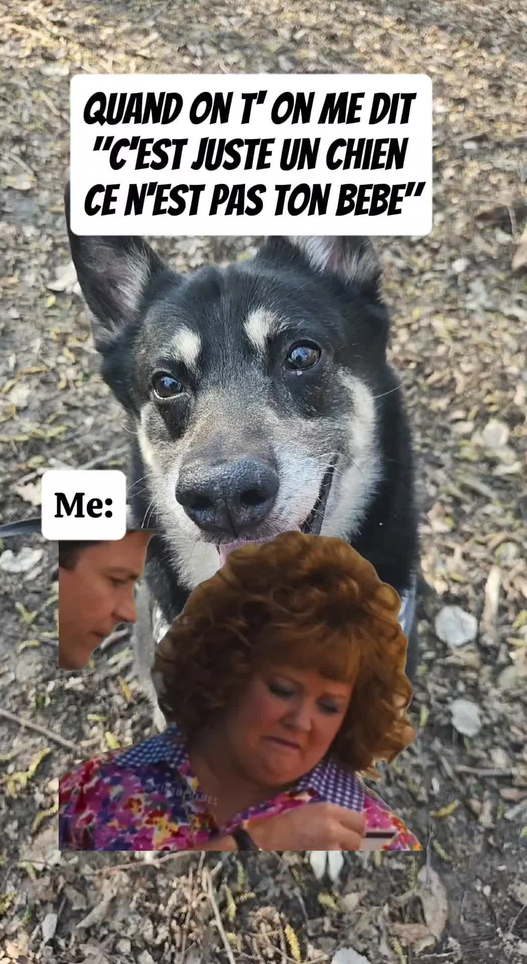 @laura mom and dogmom