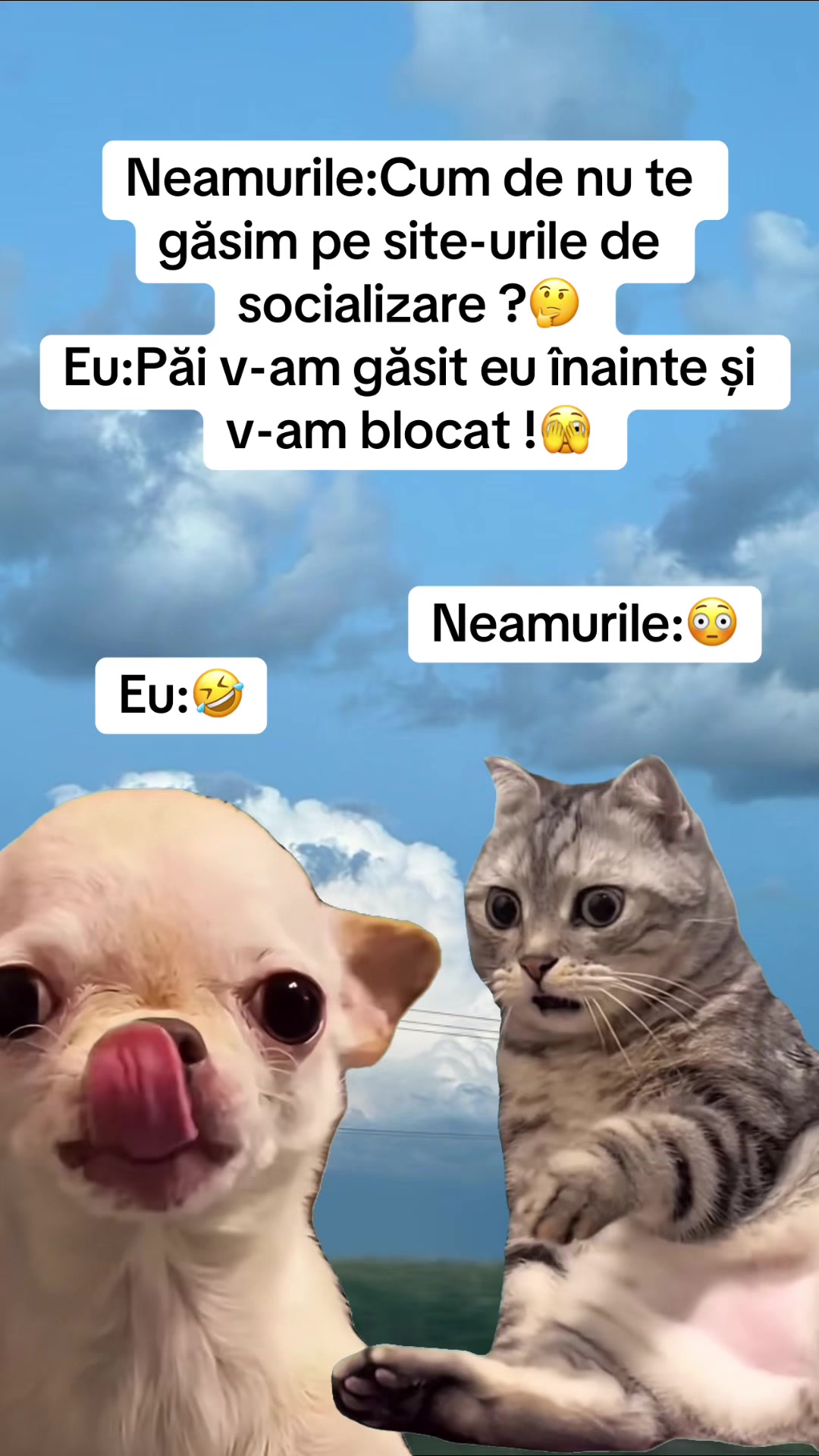 @Ionut17