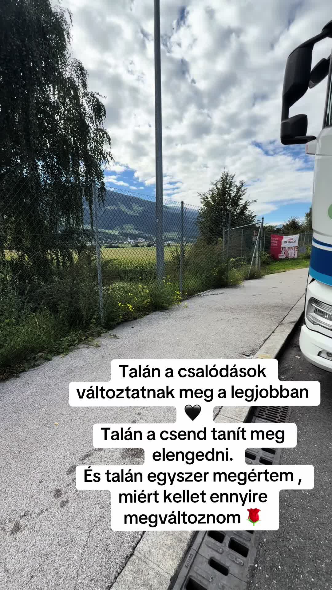 @Viola Csapó