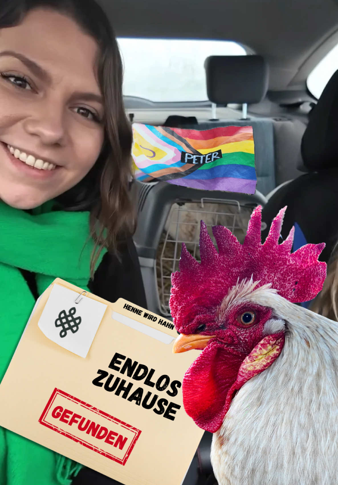@endloskater