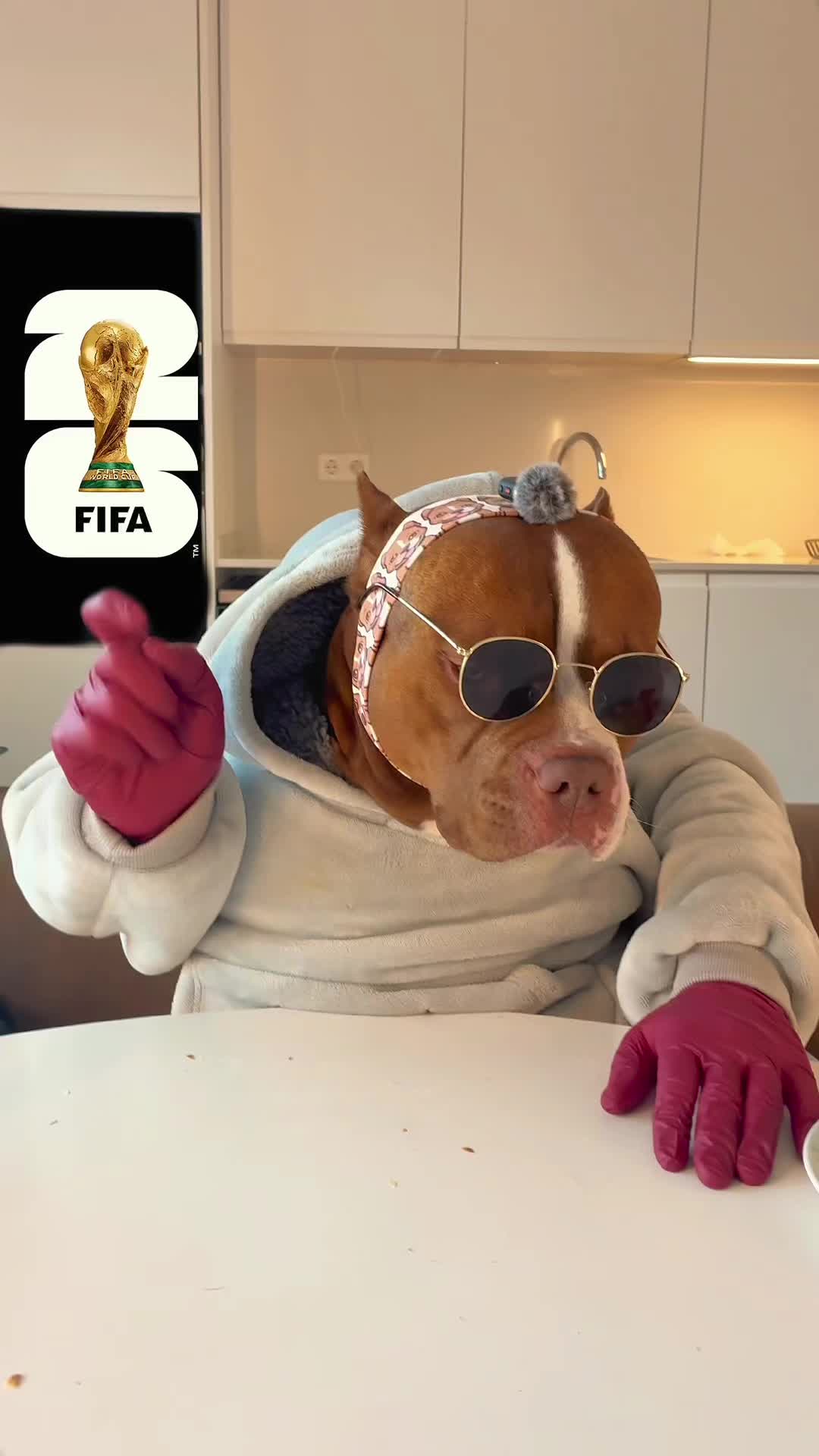 @Chocodogger