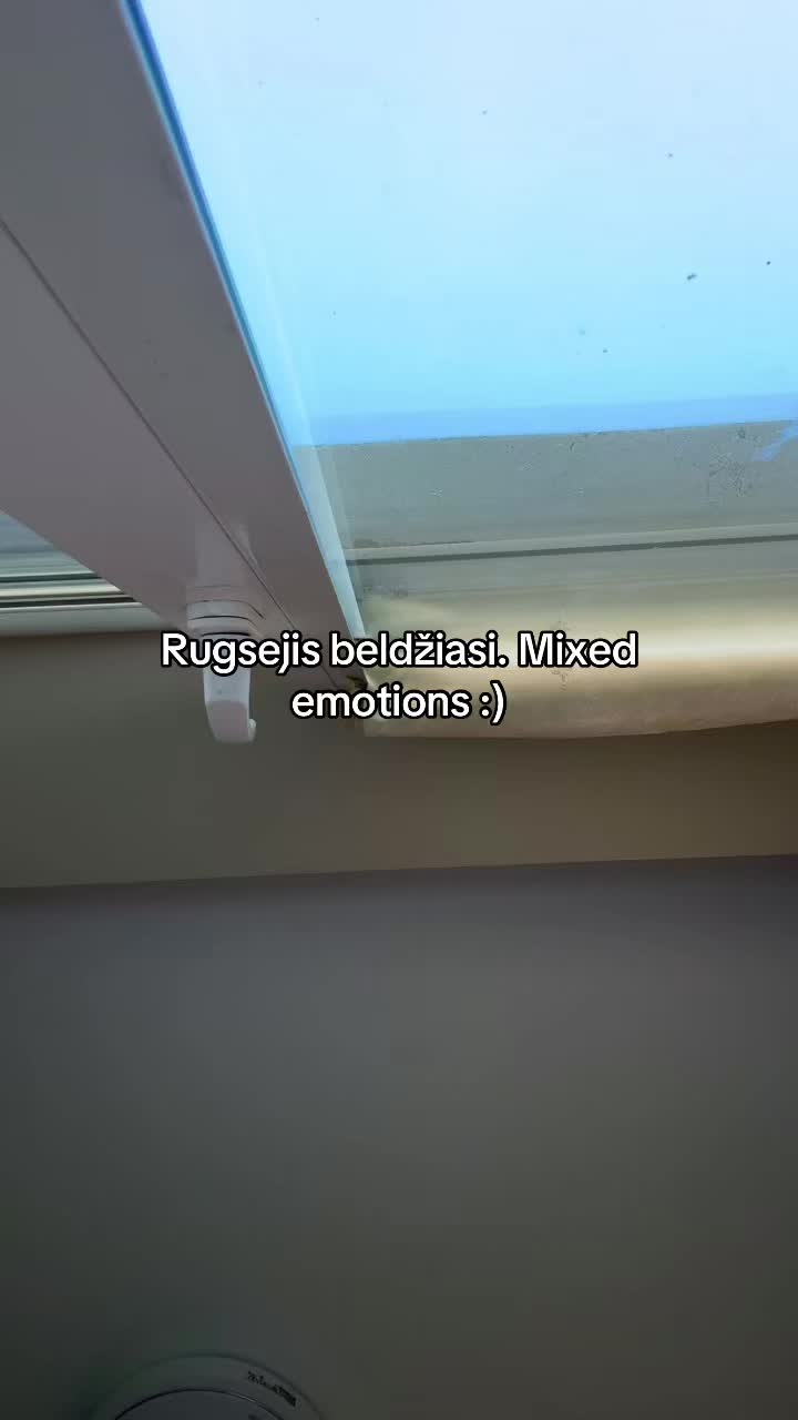 @Andrėja Jan