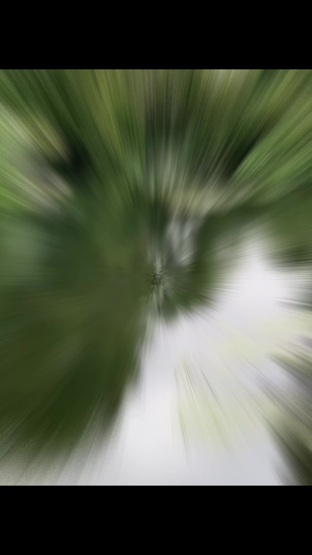 @Chef