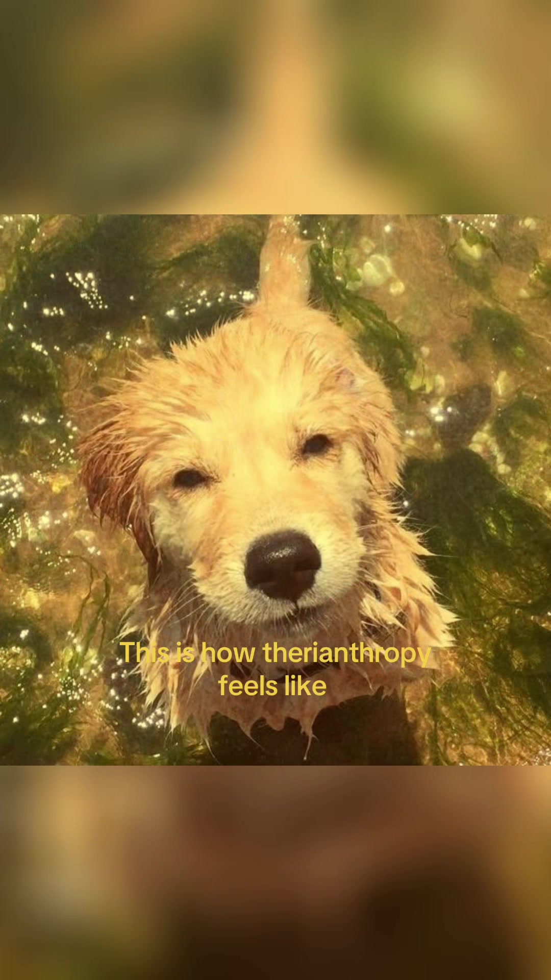 @𖤐 𝕽𝖊𝖎𝖌𝖊𝖓/𝕭𝖑𝖆𝖎𝖗 𖤐
