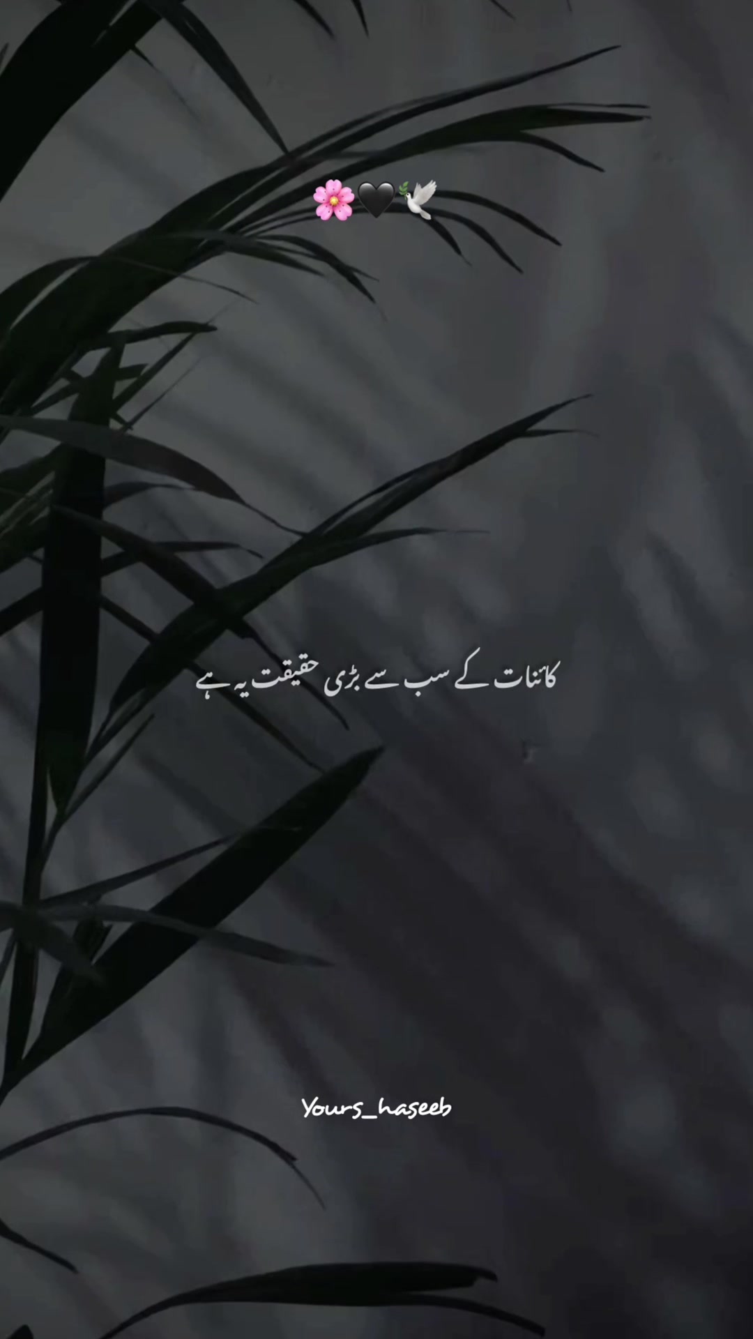 @𝐈𝐬𝐥𝐚𝐦𝐢𝐜 𝐇𝐞𝐚𝐫𝐭 🥹