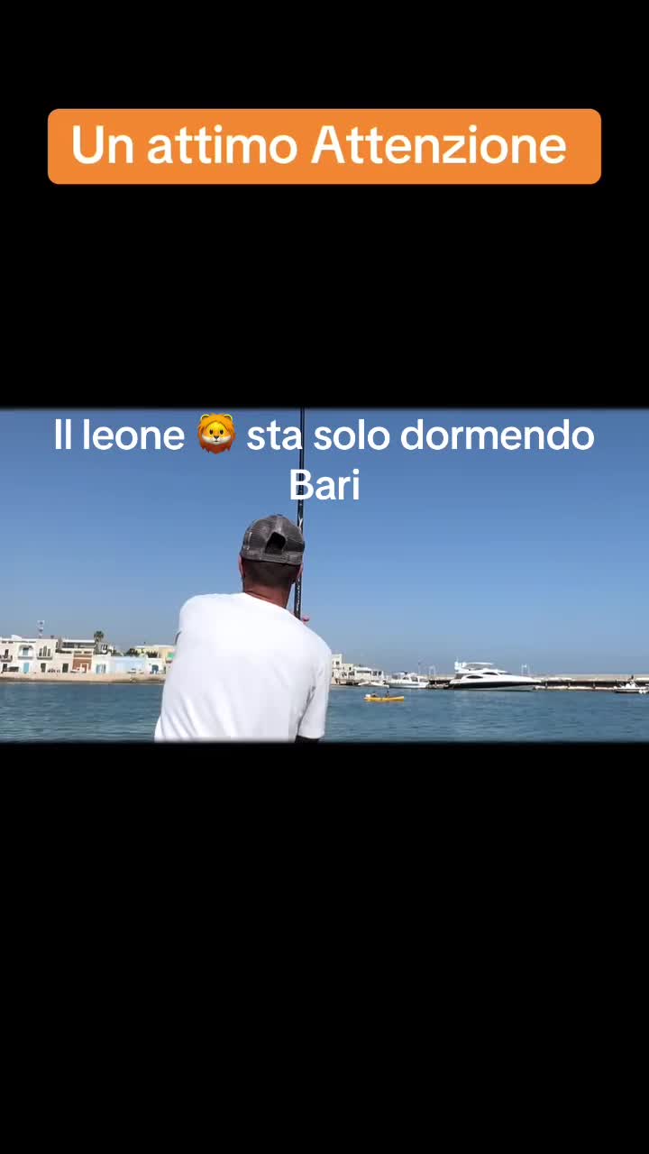 @GianlucaAmoruso