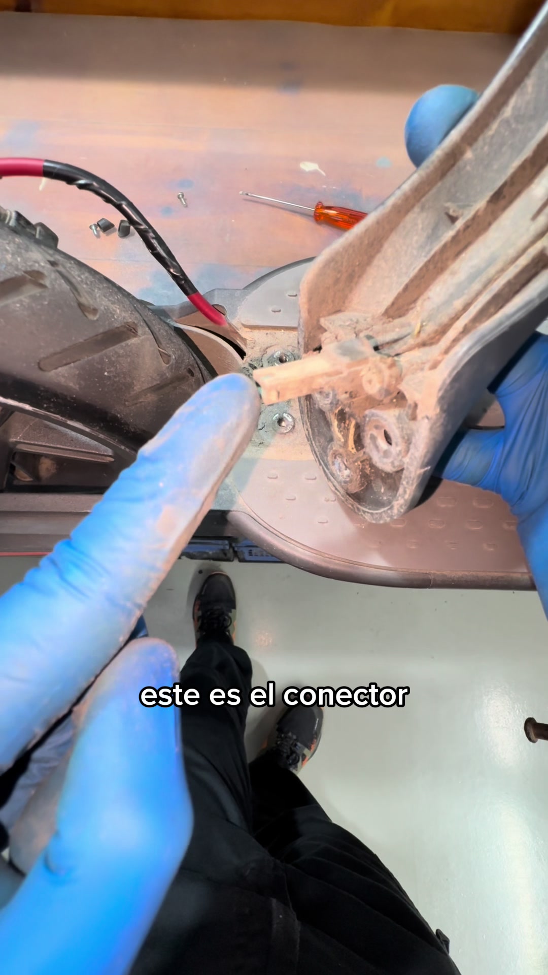 @ElectroPine