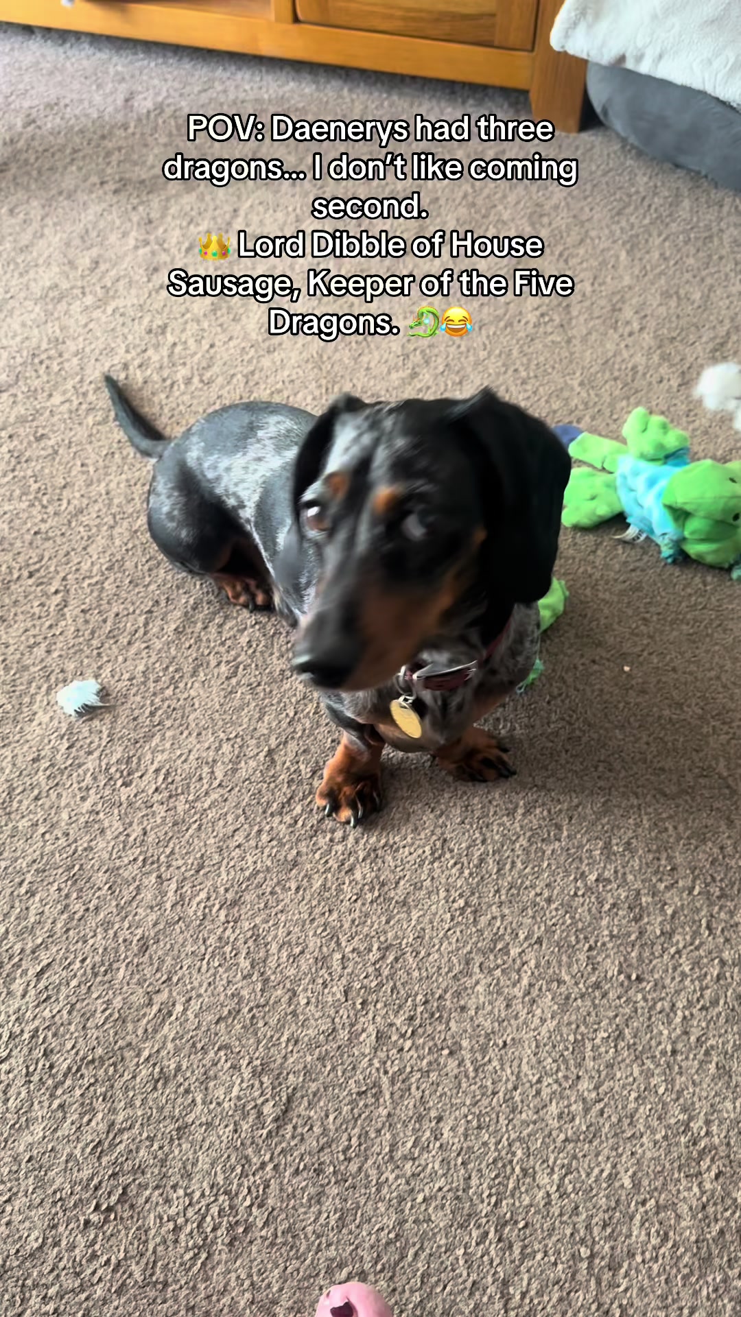 @dibblydobbly_dax