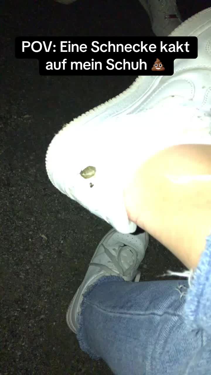 @🐥