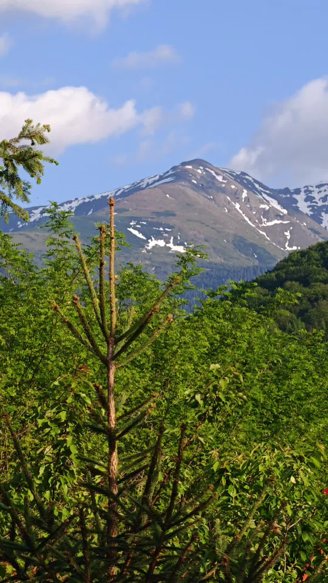@constantinnouras