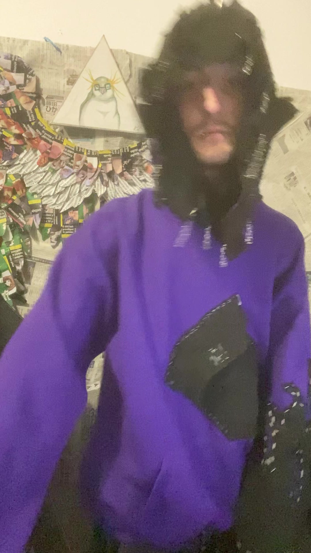 @pesimistickyhipik