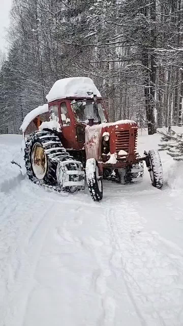 @ForestAndWheels