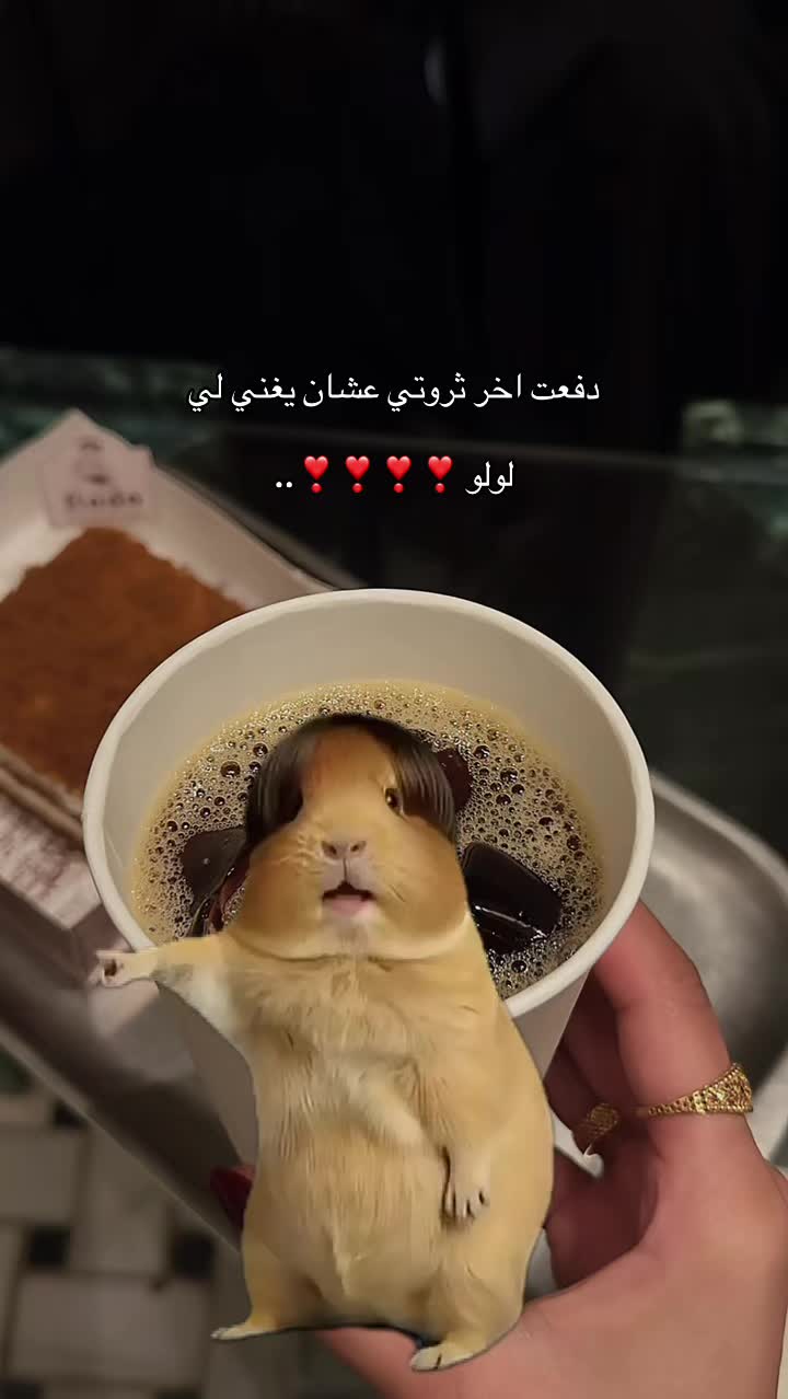 @مودل لجين | الاحساء 🌴.