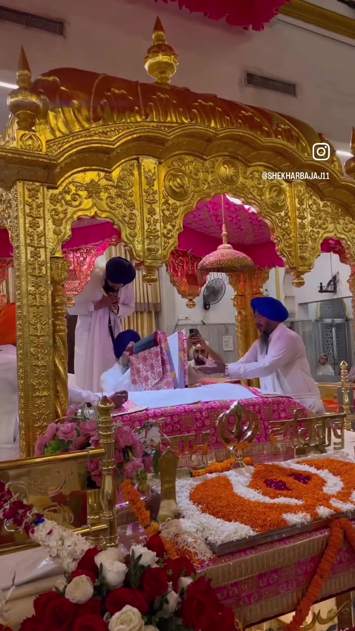 @Punjabijatti