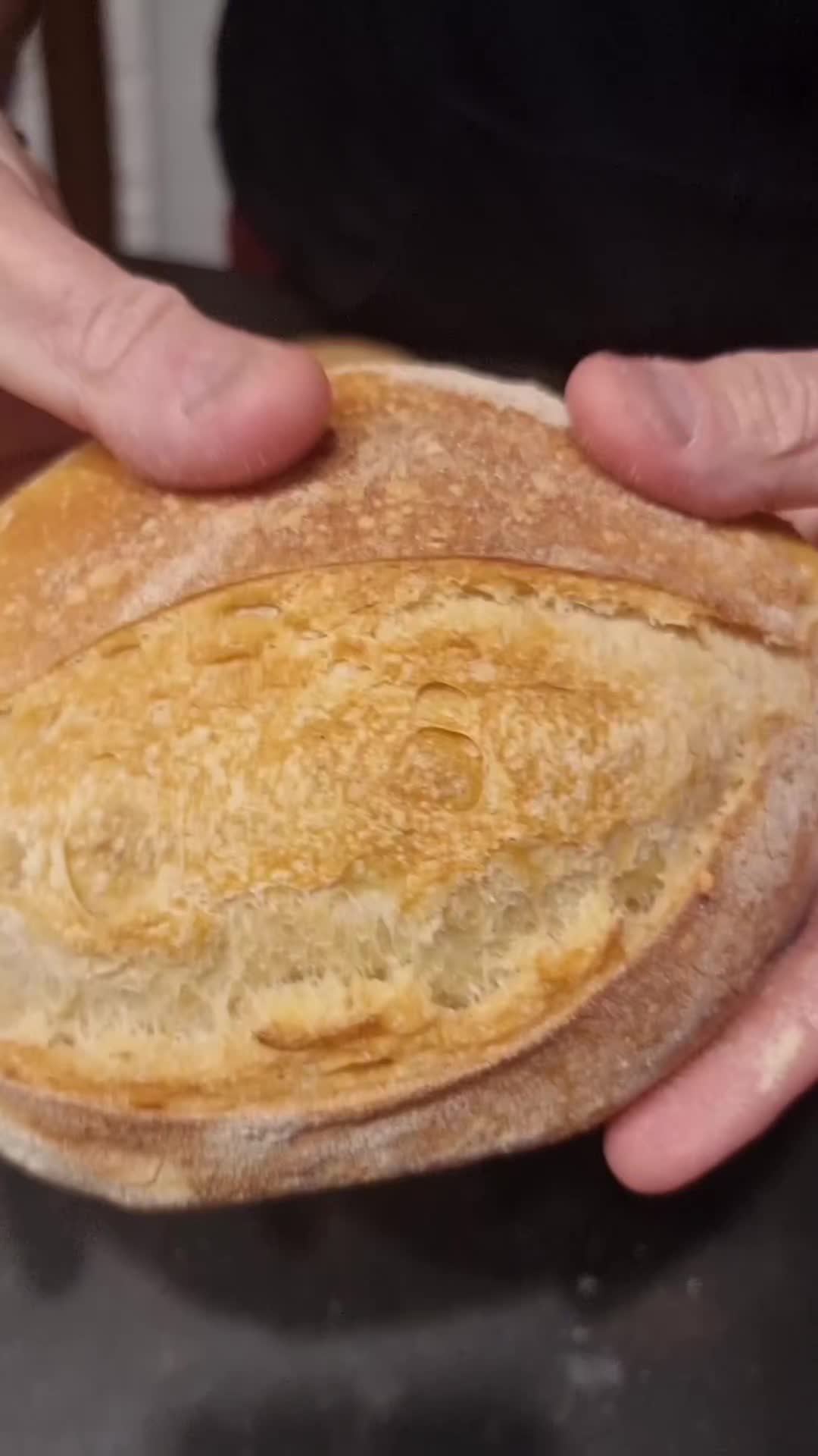 @Gino Di Francesco