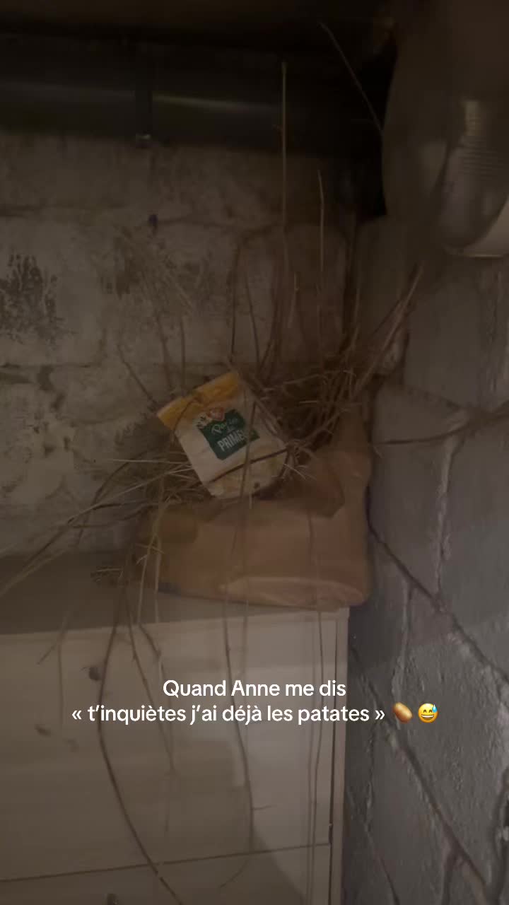 @lespetitssouliers