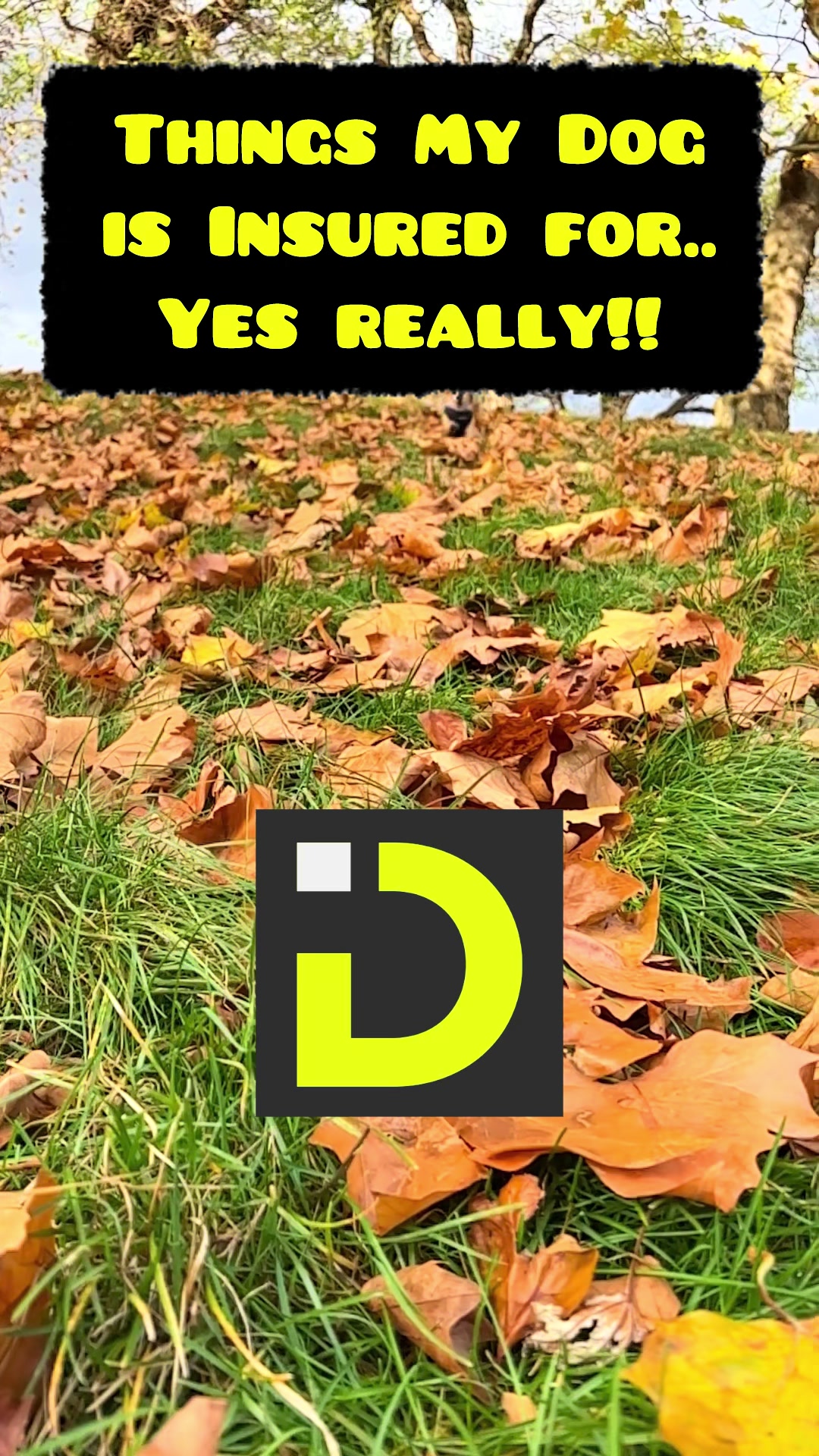 @Decodinginsurance