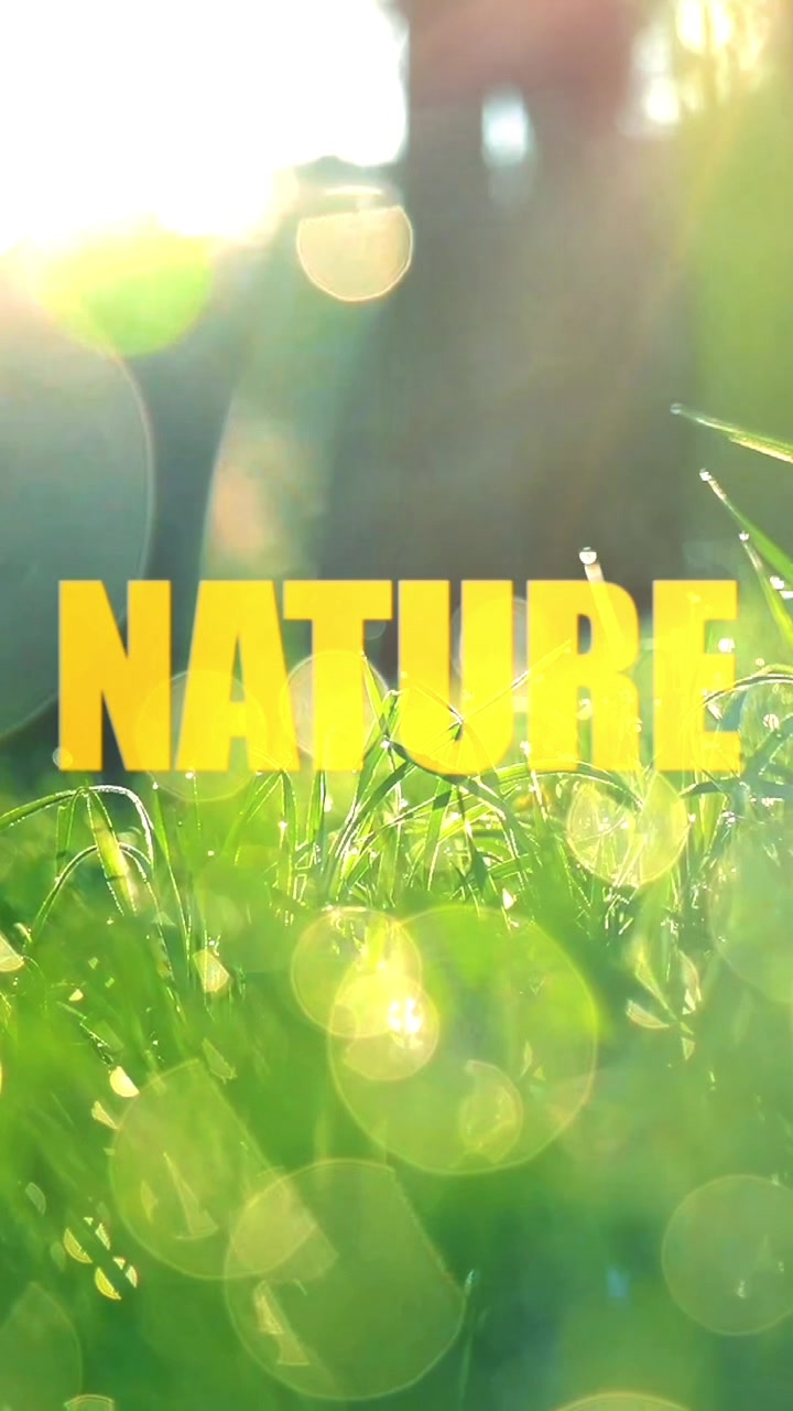 @Mitel Dan | Nature