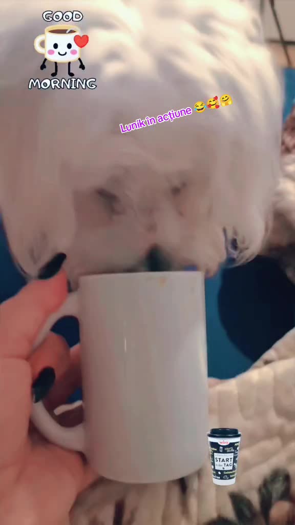 @♒ Anca 💖